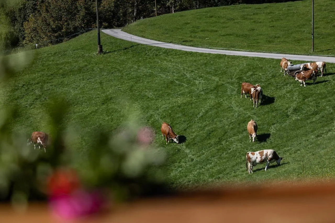 Alojamento de Turismo Rural Bergbauernhof Schoberlehen Vila Bischofswiesen