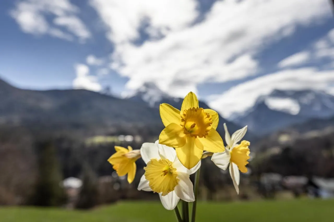 Alojamento de Turismo Rural Bergbauernhof Schoberlehen Vila Bischofswiesen Alemanha